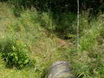 Culvert Crossing, Connor Twp, Maine
