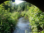 Culvert Crossing, Libby Brook, Fort Fairfield, Maine