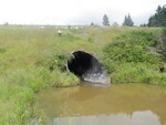 Culvert Crossing, Fort Fairfield, Maine