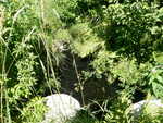 Multiple Culvert Crossing, Washburn, Maine