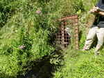 Multiple Culvert Crossing, Washburn, Maine