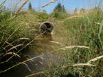 Culvert Crossing, Spring Brook, Caribou, Maine