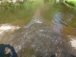 Multiple Culvert Crossing, Woodland, Maine