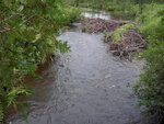 Culvert Crossing, Salmon Brook, Perham, Maine