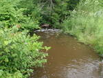Culvert Crossing, Clayton Brook, Mapleton, Maine