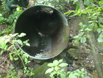 Culvert Crossing, Bulls Brook, Presque Isle, Maine