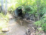 Culvert Crossing, Wade, Maine