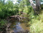 Culvert Crossing, Wade, Maine