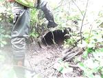 Culvert Crossing, Westmanland, Maine