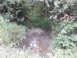 Multiple Culvert Crossing, New Sweden, Maine