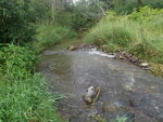 Ford Crossing, Fort Fairfield, Maine