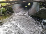 Culvert Crossing, Prestile Brook, Caribou, Maine