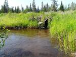 Multiple Culvert Crossing, Madawaska Lake Twp, Maine