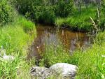 Multiple Culvert Crossing, Madawaska Lake Twp, Maine