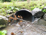 Culvert Crossing, Moore Brook, Caribou, Maine