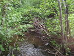 Culvert Crossing, Clayton Brook, Castle Hill, Maine