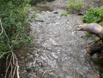 Multiple Culvert Crossing, Nichols Brook, Caribou, Maine