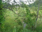Culvert Crossing, Everett Brook, Fort Fairfield, Maine
