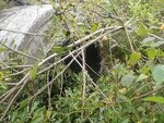 Culvert Crossing, Limestone, Maine