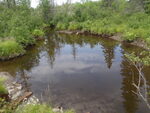 Culvert Crossing, Factory Brook, Woodland, Maine