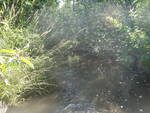 Multiple Culvert Crossing, Prestile Brook, Caribou, Maine
