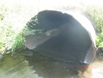 Multiple Culvert Crossing, Prestile Brook, Caribou, Maine