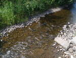 Culvert Crossing, Salmon Brook, Washburn, Maine