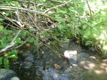 Multiple Culvert Crossing, Limestone, Maine