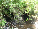Multiple Culvert Crossing, Limestone, Maine