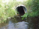 Culvert Crossing, Wade, Maine