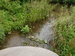Culvert Crossing, Presque Isle, Maine