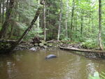 Culvert Crossing, Demarchant Brook, Castle Hill, Maine