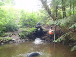 Culvert Crossing, Demarchant Brook, Castle Hill, Maine