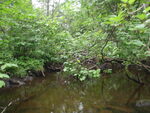 Culvert Crossing, Demarchant Brook, Castle Hill, Maine