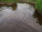 Culvert Crossing, Masters Brook, Caswell, Maine