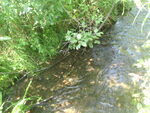 Culvert Crossing, Sealander Brook, New Sweden, Maine