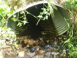 Culvert Crossing, Sealander Brook, New Sweden, Maine