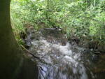 Culvert Crossing, Pettengill Stream, Washburn, Maine