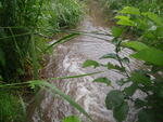 Culvert Crossing, Connor Twp, Maine