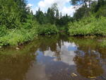 Culvert Crossing, Factory Brook, Woodland, Maine