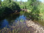 Culvert Crossing, Deadwater Brook, Woodland, Maine
