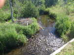 Culvert Crossing, Deadwater Brook, Woodland, Maine