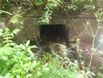 Culvert Crossing, Wade, Maine