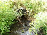 Culvert Crossing, Factory Brook, Limestone, Maine