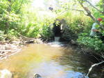 Culvert Crossing, Wade, Maine