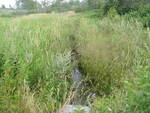 Culvert Crossing, Brandy Brook, Caribou, Maine