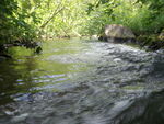 Multiple Culvert Crossing, Webster Brook, Limestone, Maine