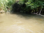 Multiple Culvert Crossing, Webster Brook, Limestone, Maine