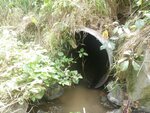 Culvert Crossing, Limestone, Maine