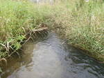 Multiple Culvert Crossing, Caribou, Maine